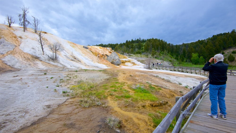 Mammoth Hot Springs in Yellowstone National Park, Wyoming