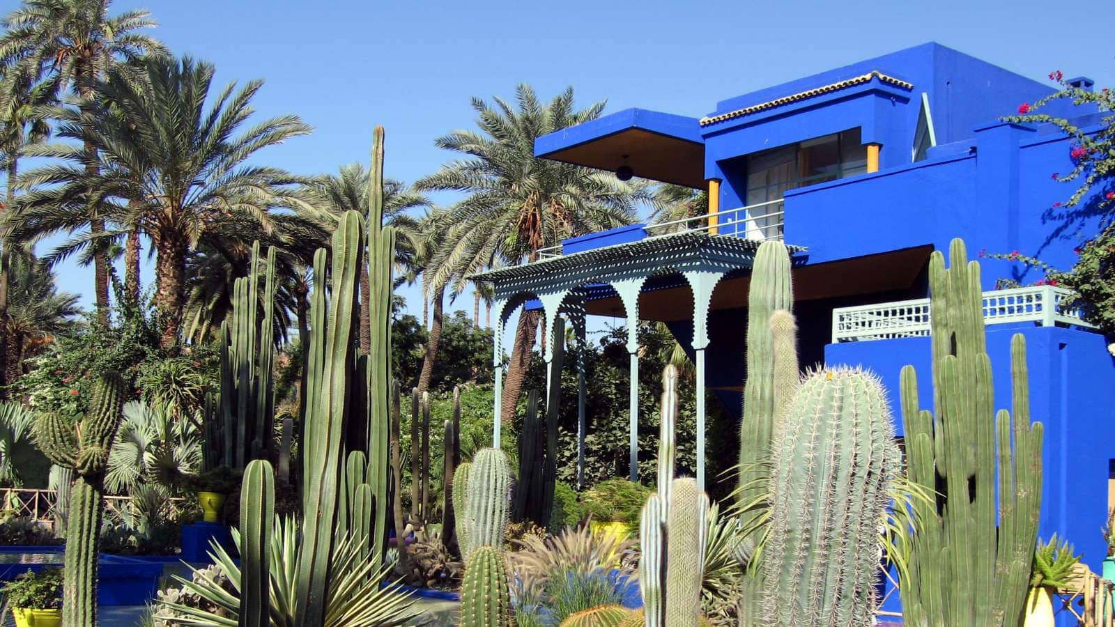 A garden of cacti and a bright blue painted building on Morocco