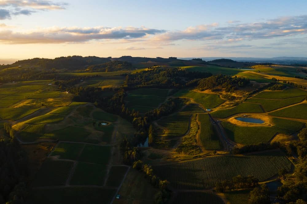 The McMinnville Foothills Wine Region near Portland, Oregon. 