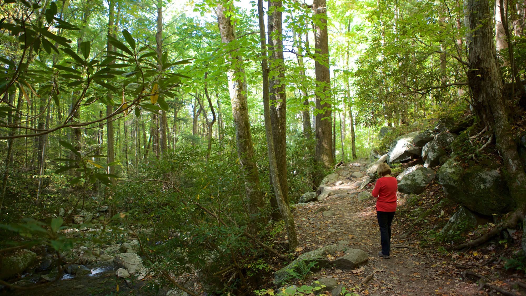 Woman on a Great Smoky Mountains National Park visit in the spring