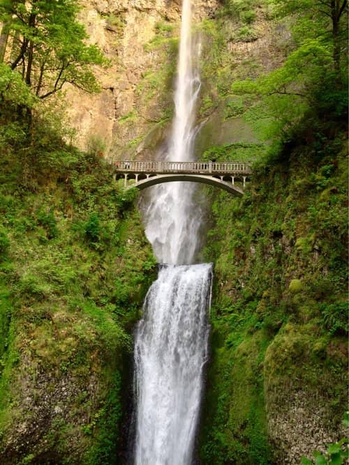 Multnomah Falls in oregon