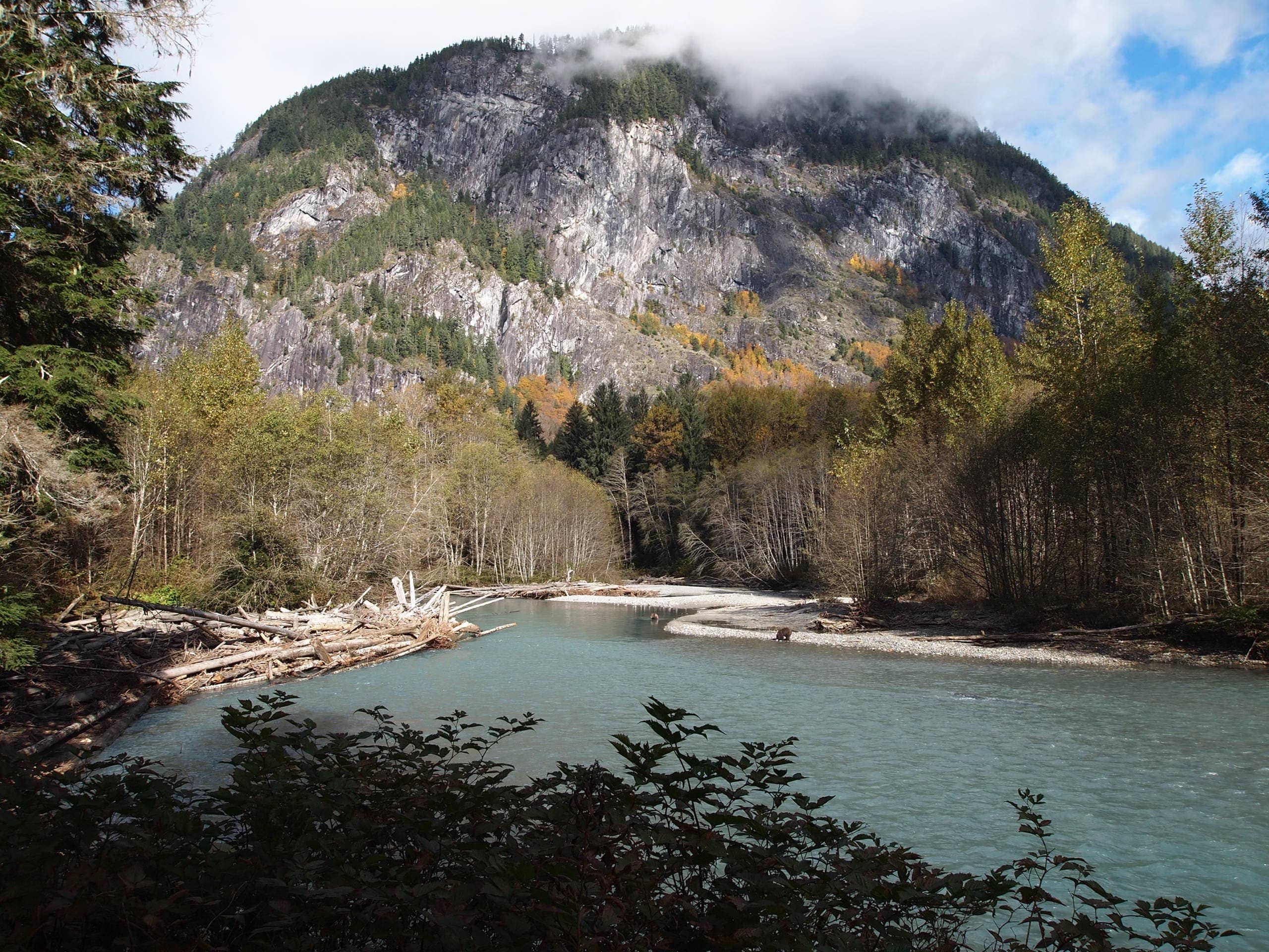 British columbia backyard