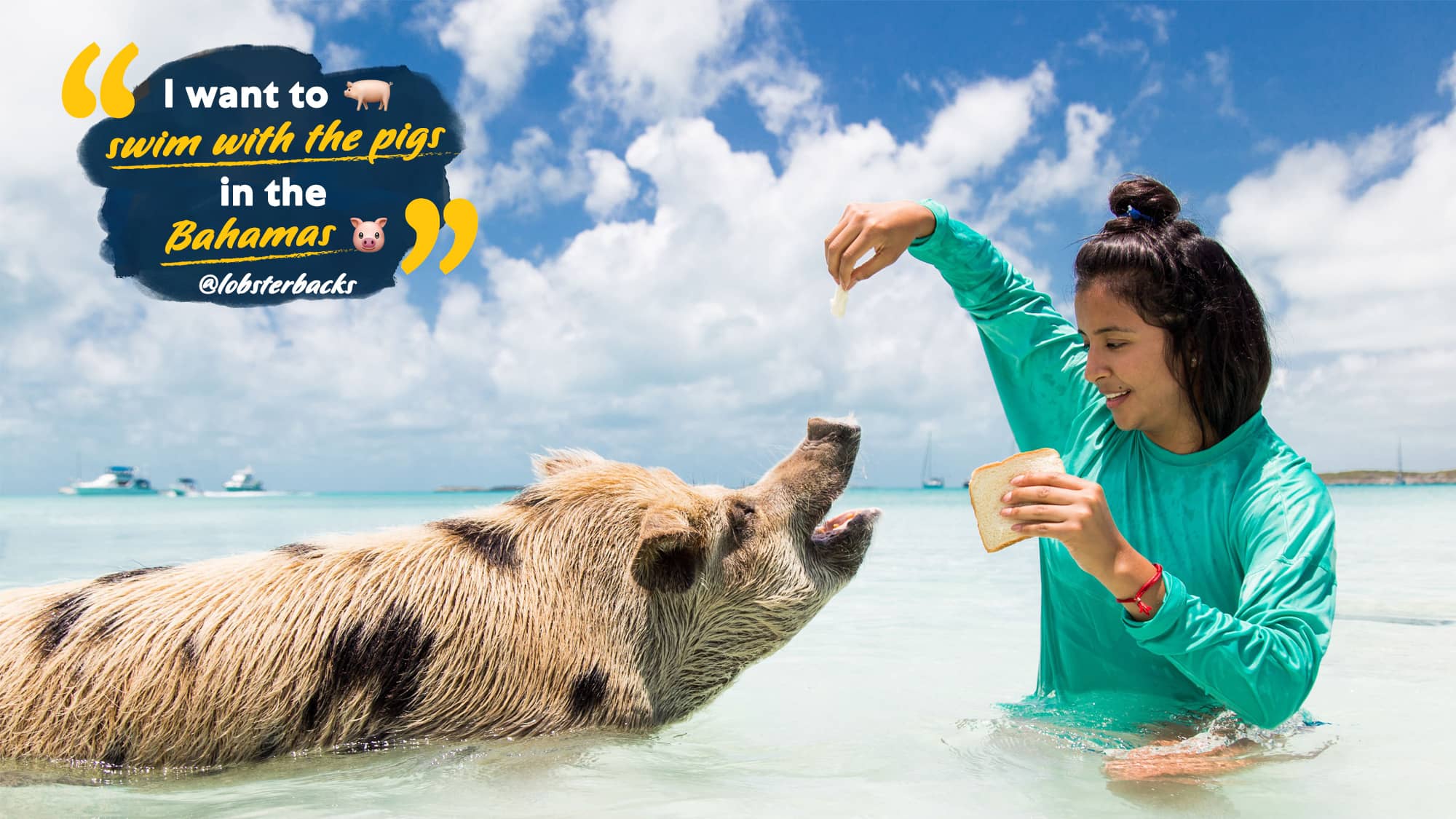 Girl swimming with a pig in the Bahamas and feeding it