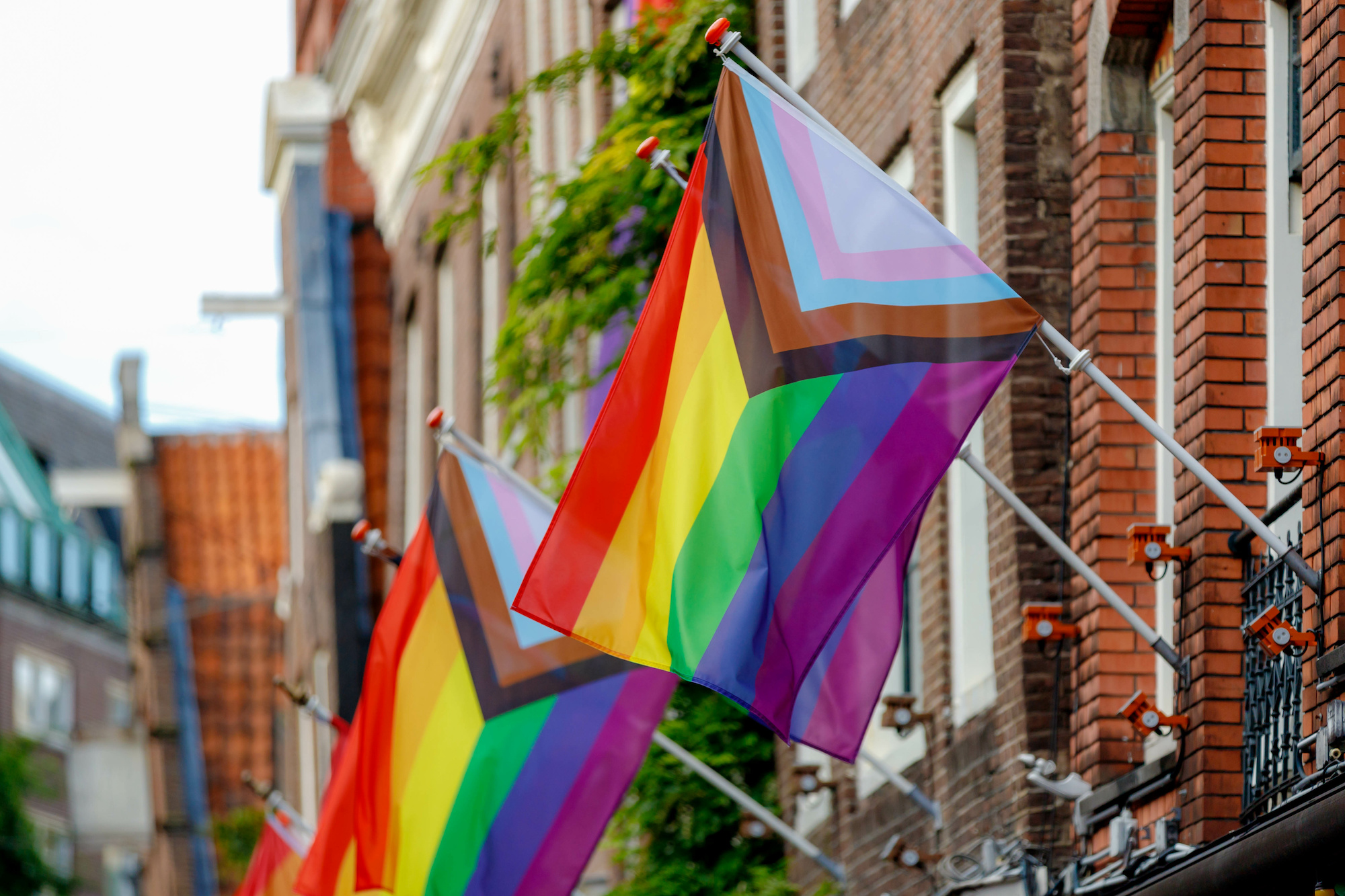 Progress Pride flags waving in the air from the side of a brick building