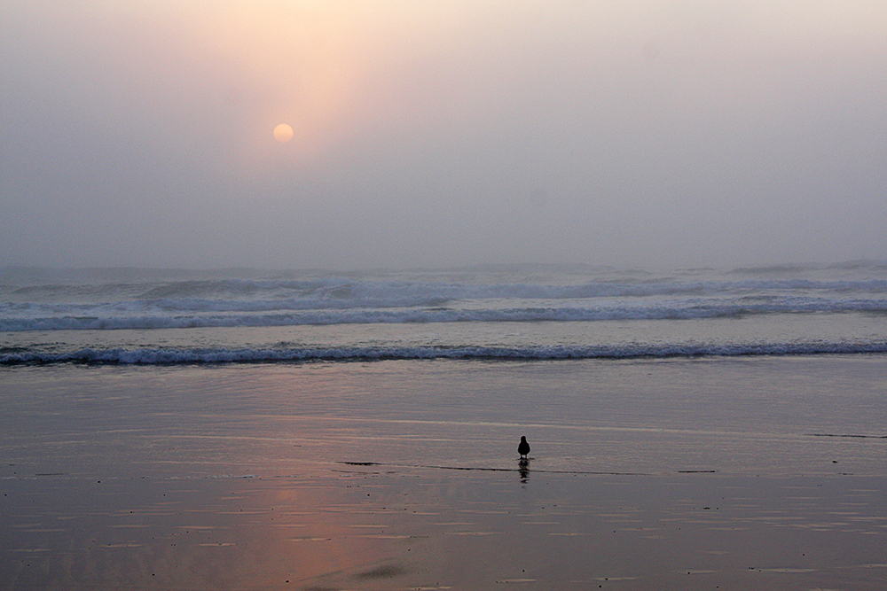 lincoln city, oregon beach