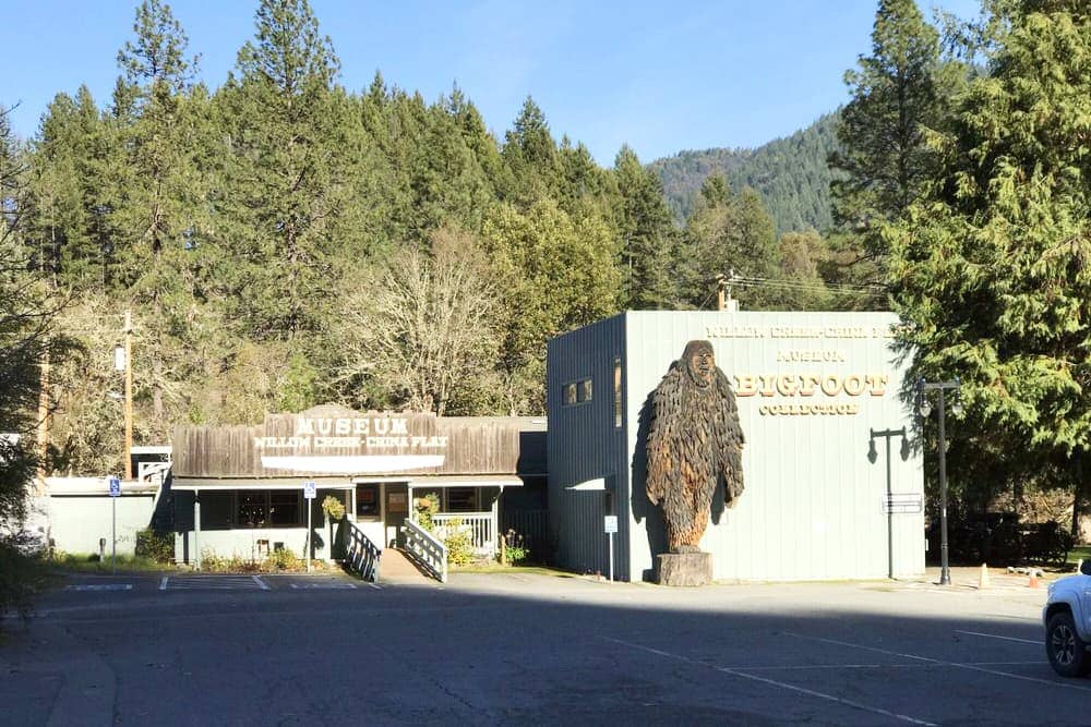 On the Hunt for Bigfoot at Sasquatch Festival, Culture