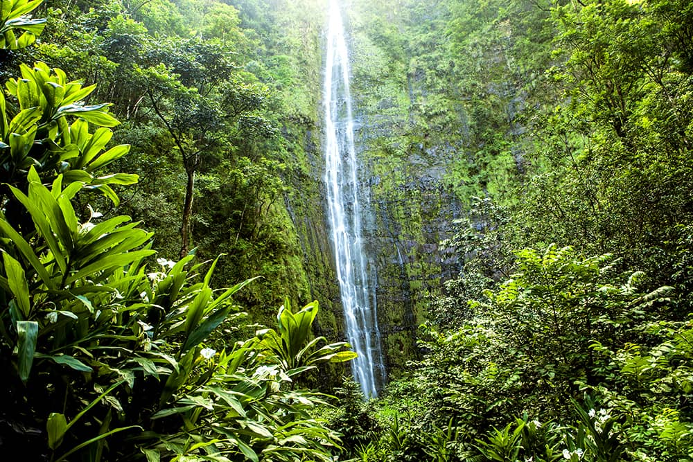 kipahulu hawaii