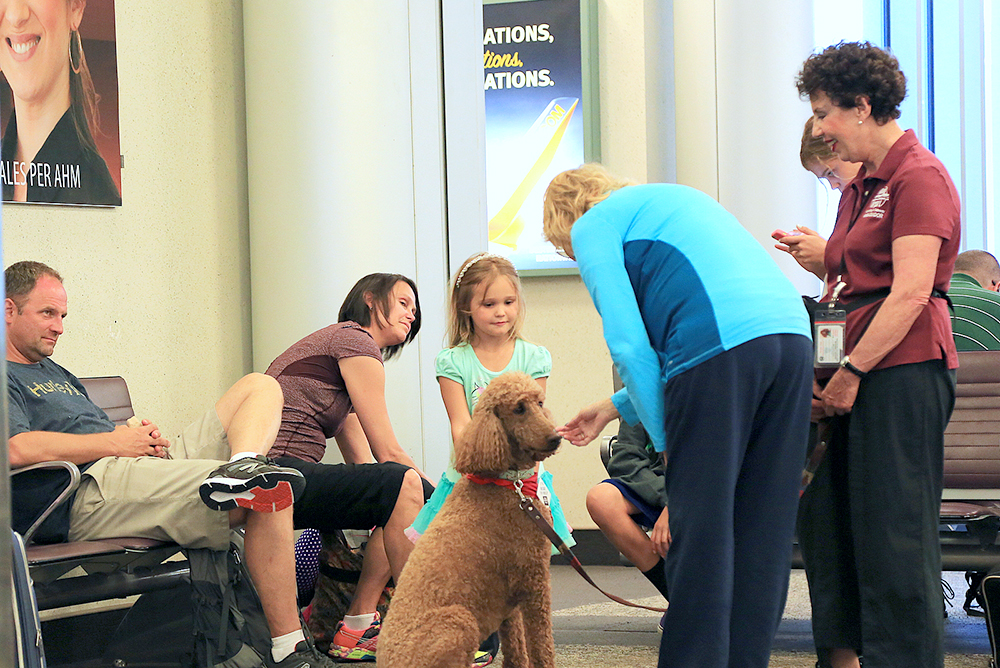 therapy dogs at airports