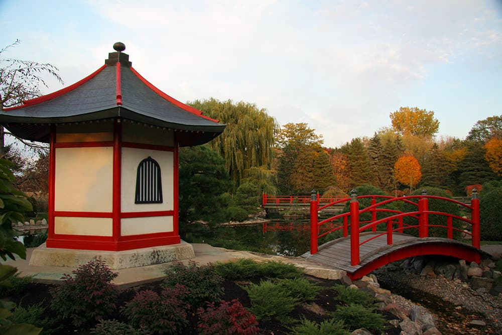 Autumn scene at Normandale Japanese Garden near a footbridge in the staycation city Bloomington