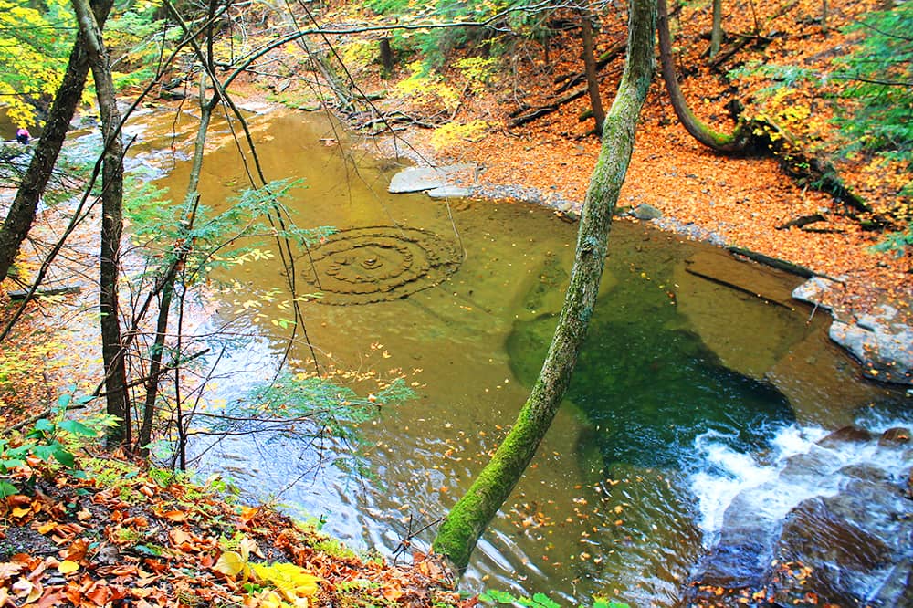 A serene creek, covered in orange leaves, during an autumn day in Ithaca.