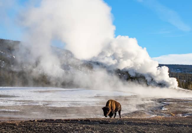 yellowstone wyoming