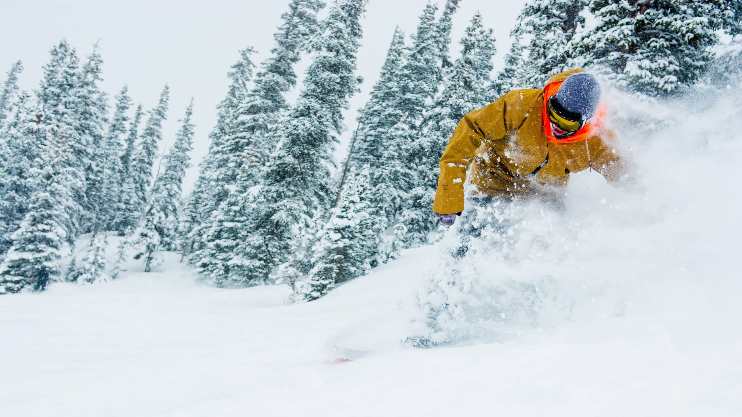 Snowboarder at Telluride Best Ski Resorts in the US