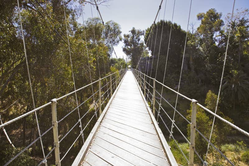 Wood cabled bridge over canyon.