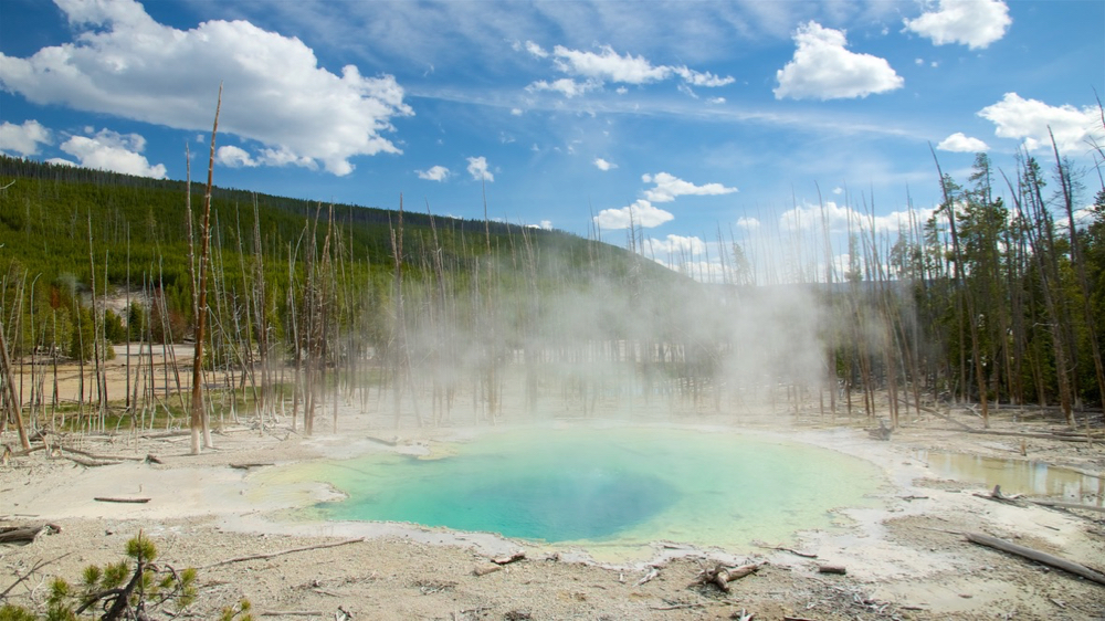 Steam rises from the Norris Geyser Basin in Yellowstone National Park