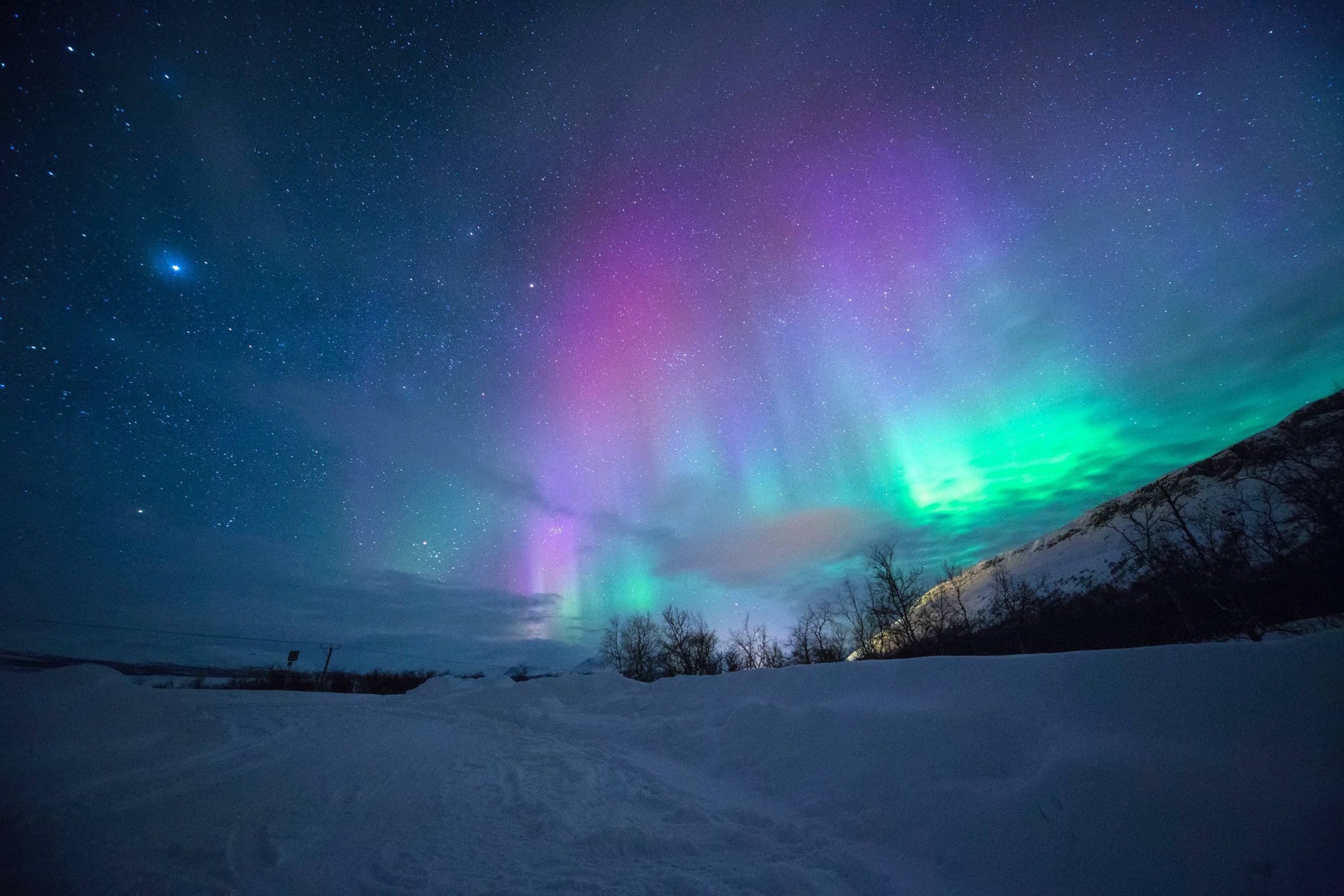 A purple aurora fills the sky.