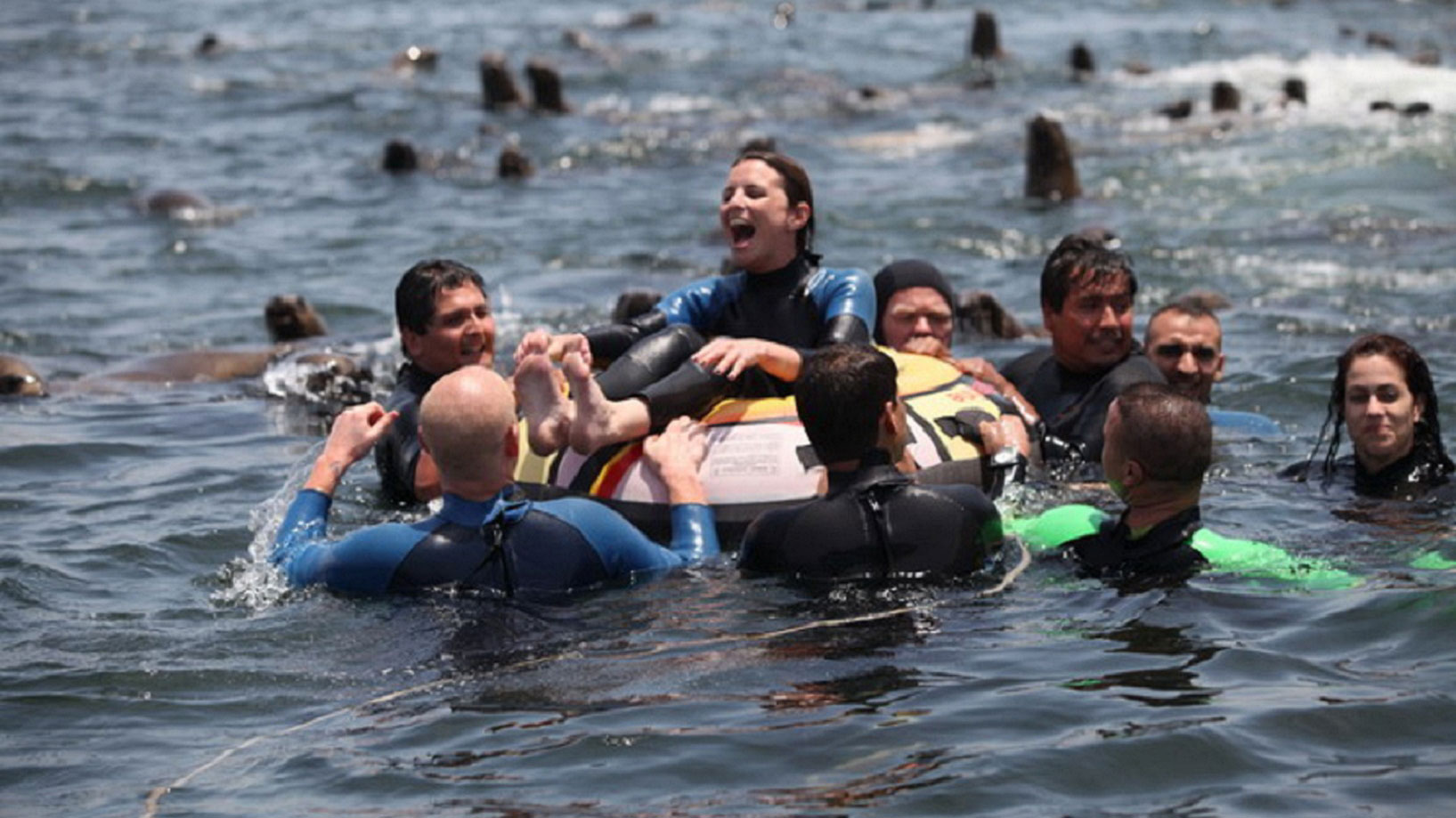 Swim with Penguins in Peru