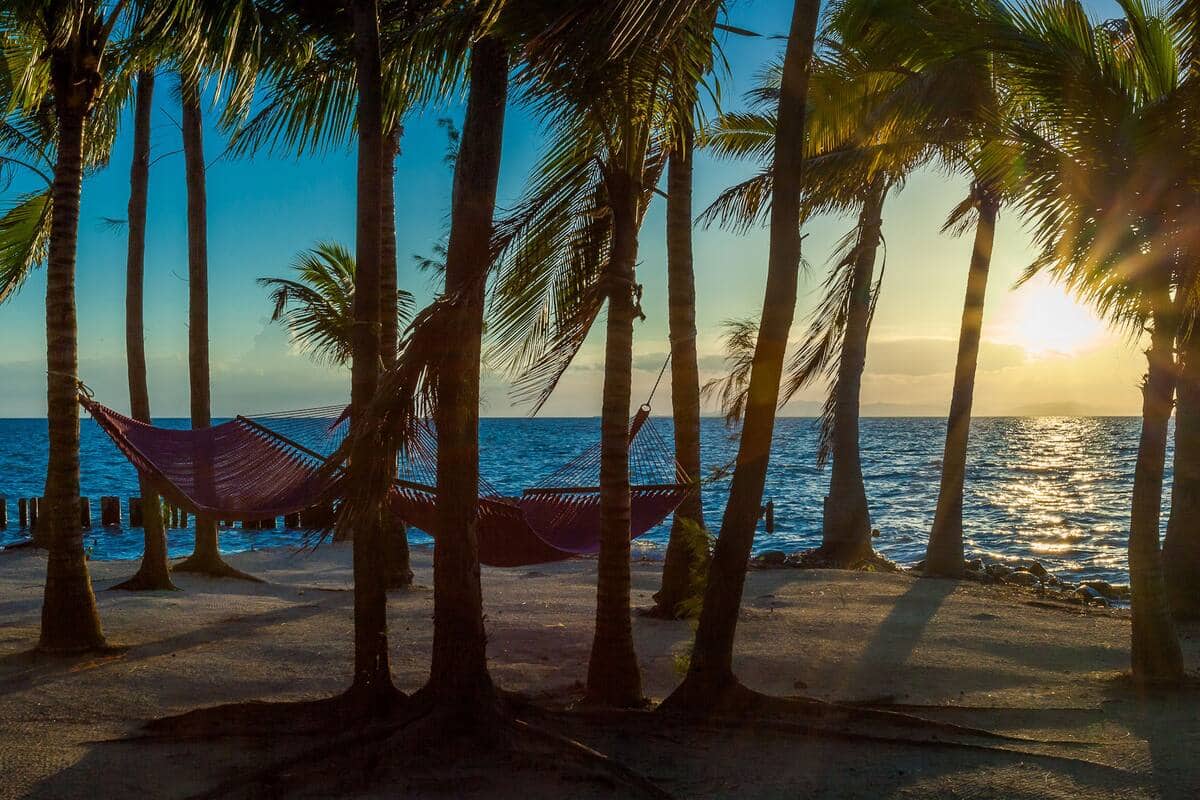 The thatch caye yoga retreat in Belize with a hammock on the beach and palm trees swaying during a beautiful ocean sunset.