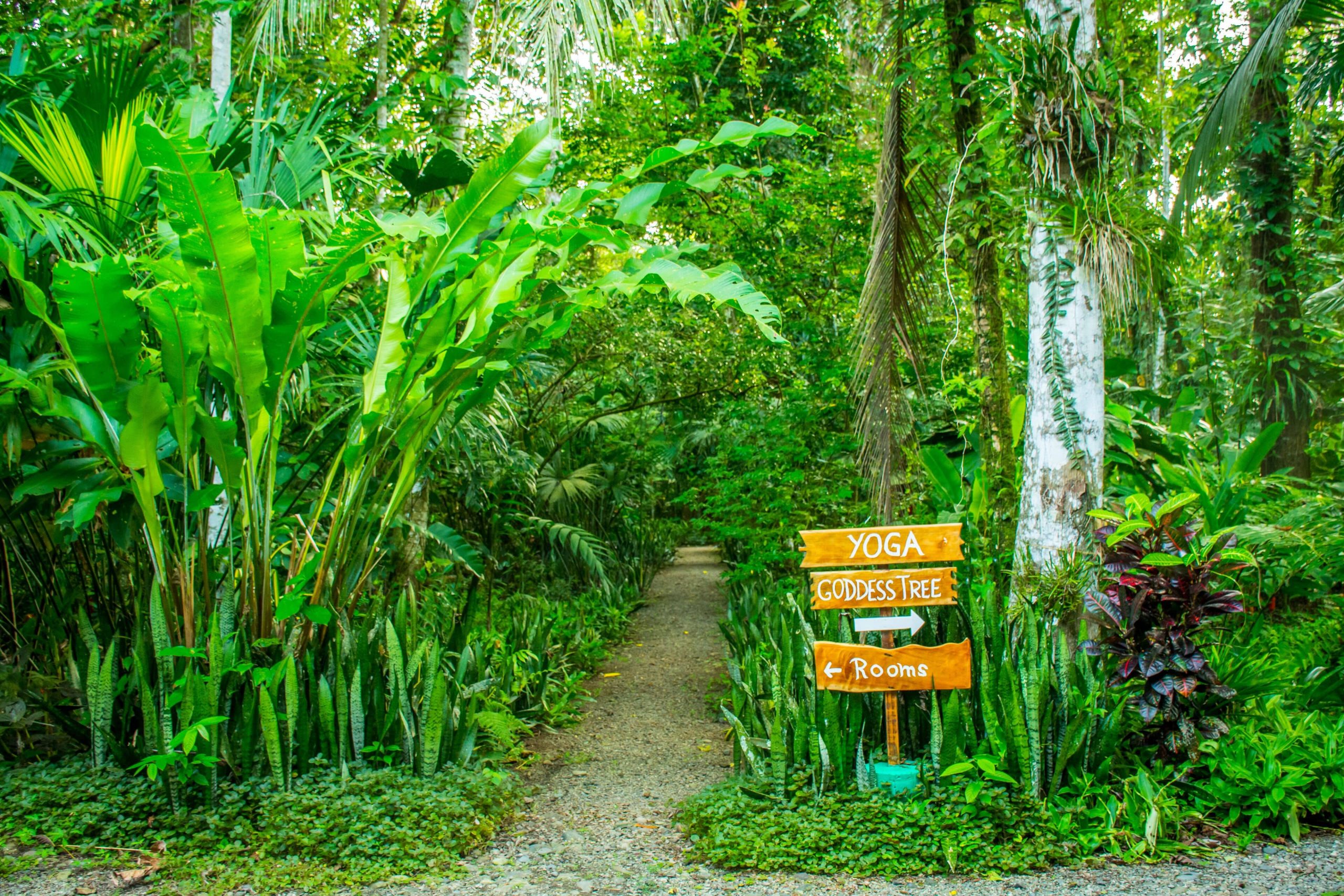 A sign in the jungle surrounding The Goddess Garden, a yoga retreat in Costa Rica.