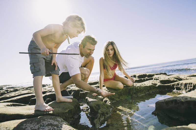 Father with children exploring on beach