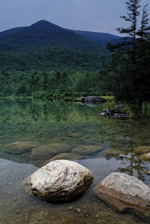 Green Mountain Forest in Vermont