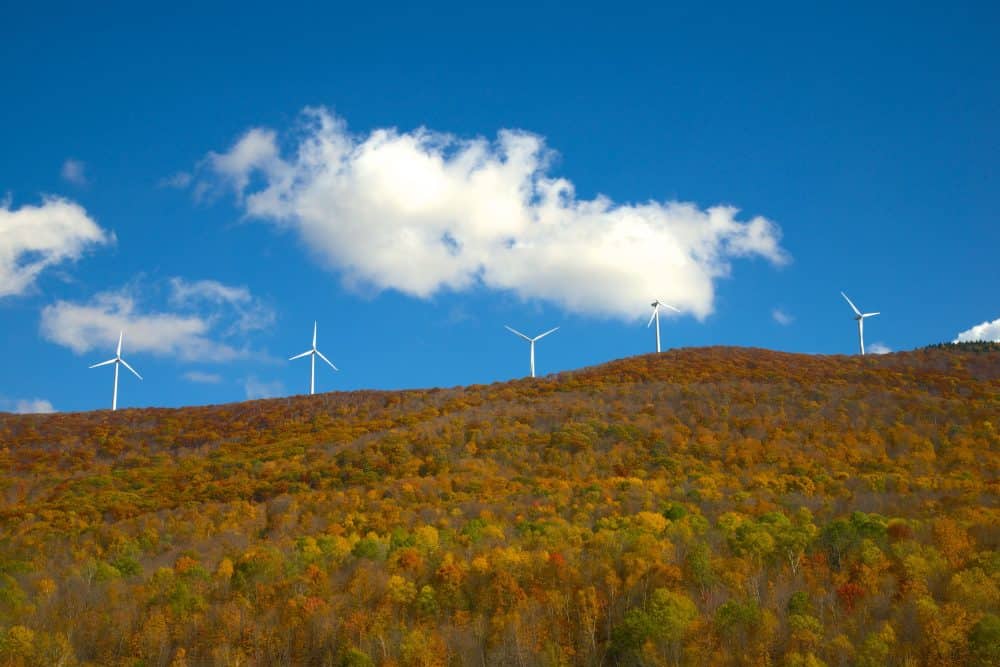 Wind turbines on a forested hill in the Berkshires