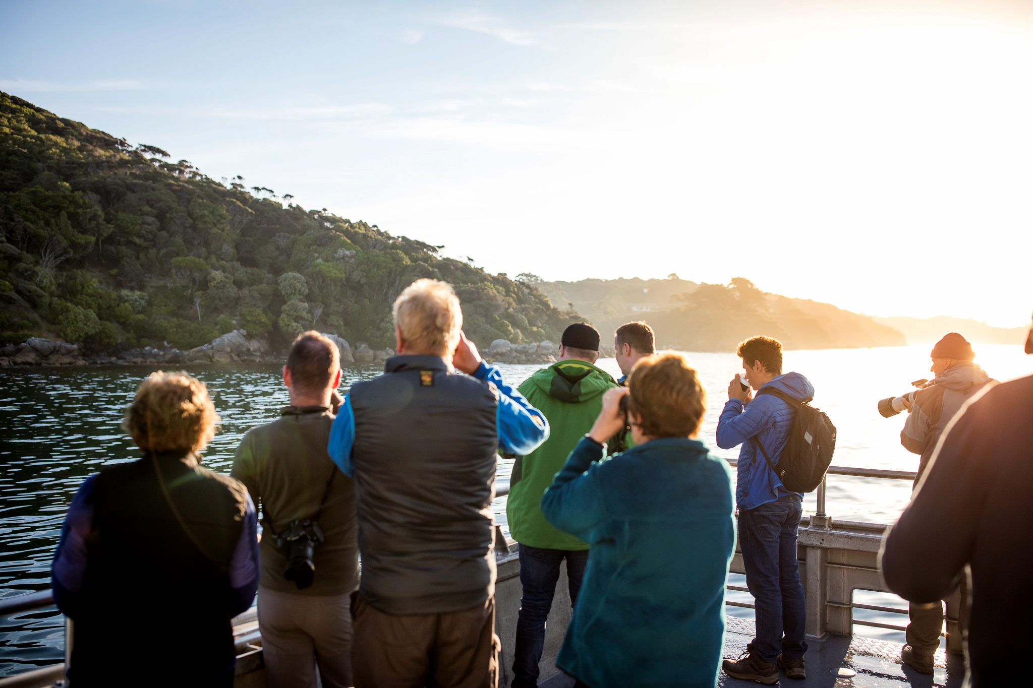 Where to See Penguins in New Zealand