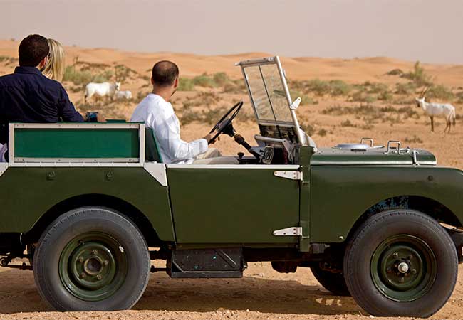 Jeep guided wildlife tour through the Dubai Desert Conservation Reserve