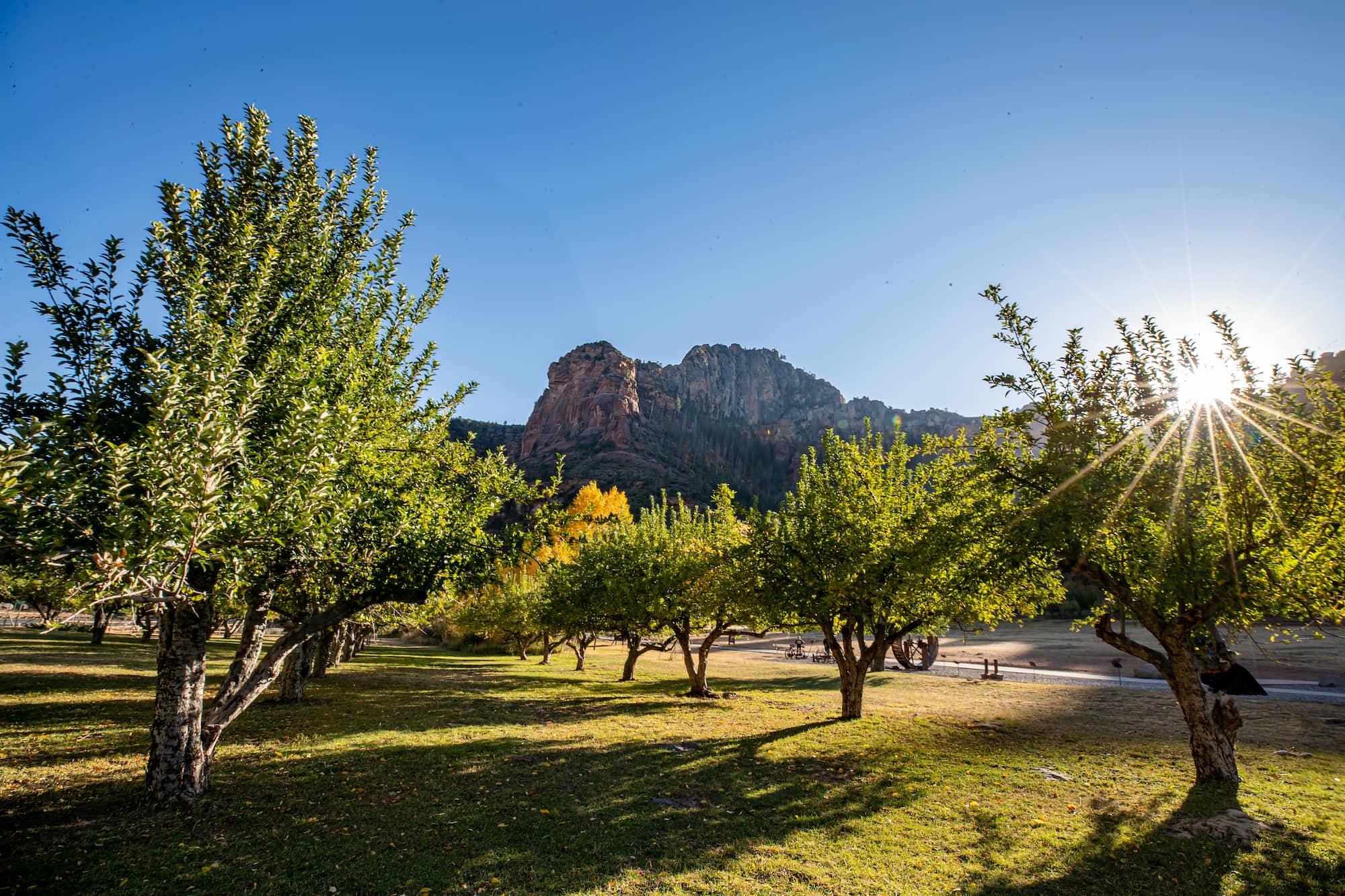 The Top 15 Wineries in Sedona, AZ and the Verde Valley Wine Region