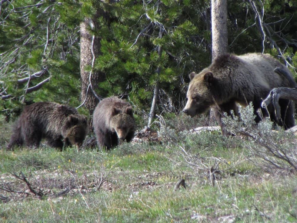 Grand Teton National Park, Wyoming