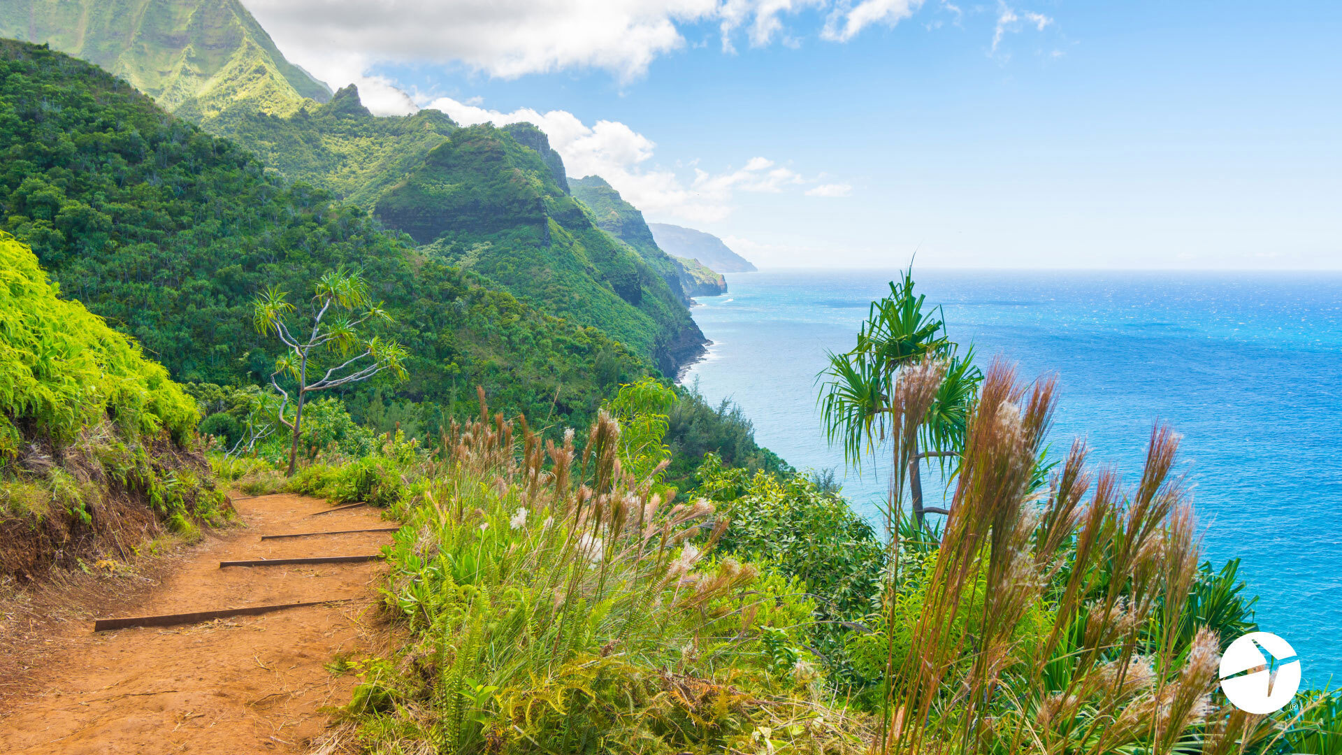 Zoom Hawaii background