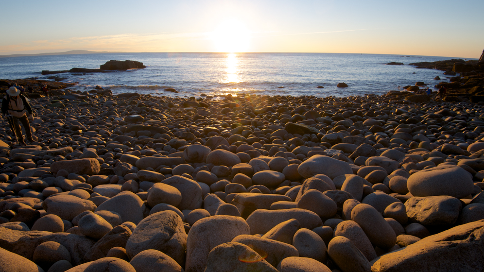 Boulder Beach - Acadia National Park, Maine, USA