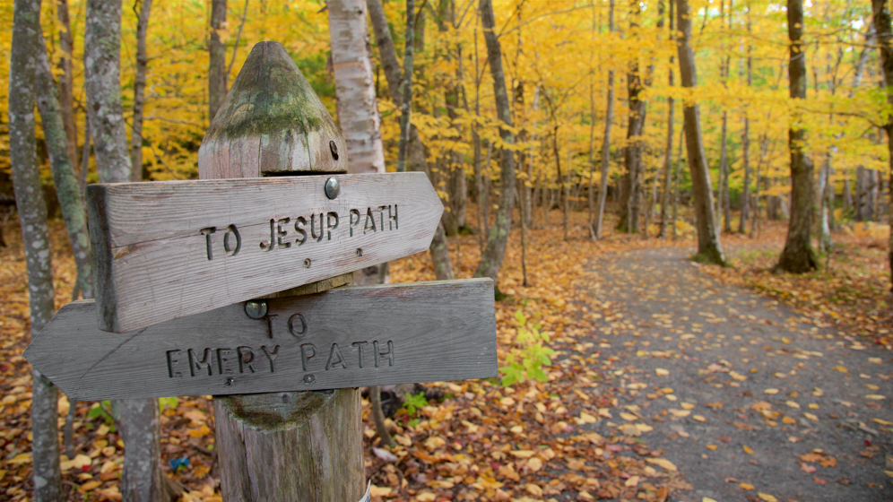 Jesup Path - Acadia National Park, Maine, USA