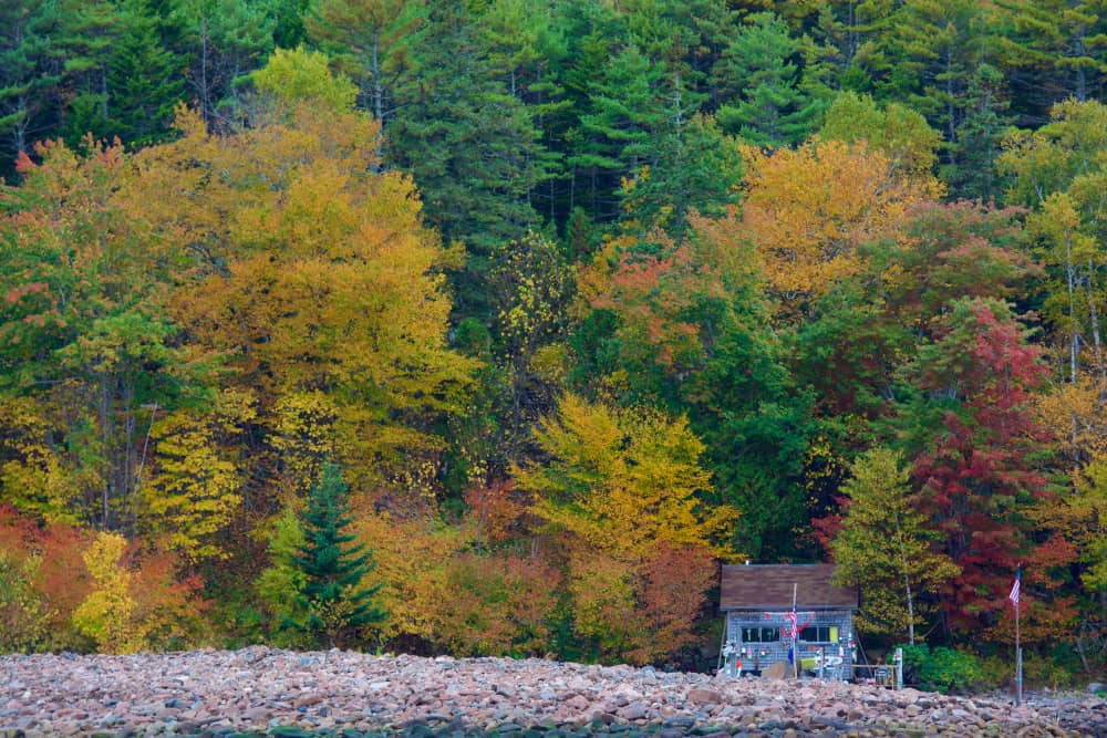 acadia forest maine