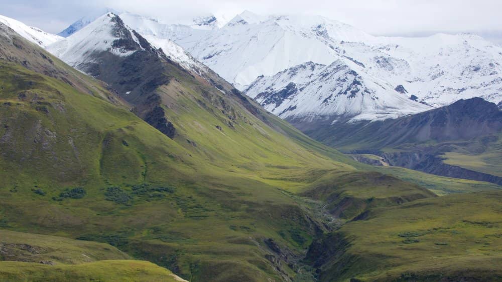 The Denali National Park in Alaska