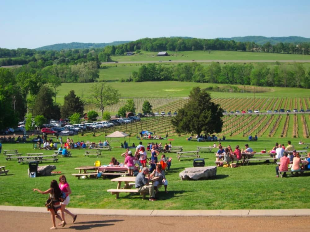 arrington vineyards