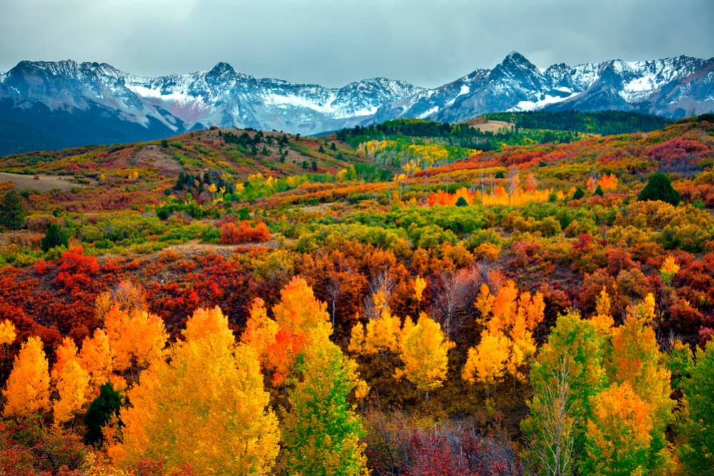 aerial view of fall trees and mountains in scenic aspen colorado