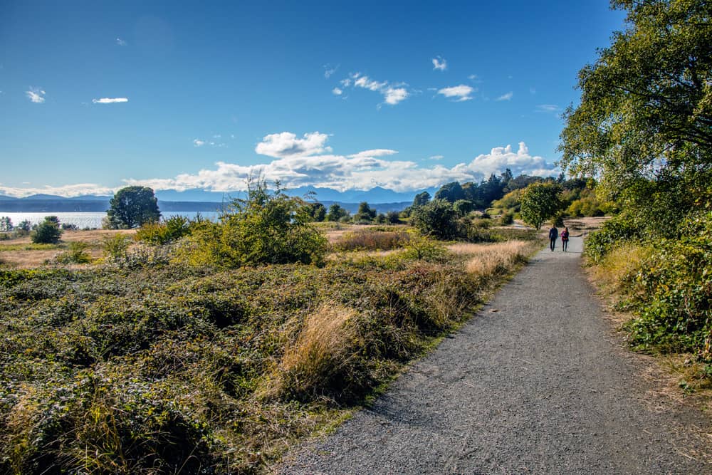 Friends hiking on a trail in Discovery Park with views of Puget Sound—a fun outdoor activity for your Seattle bachelor party.