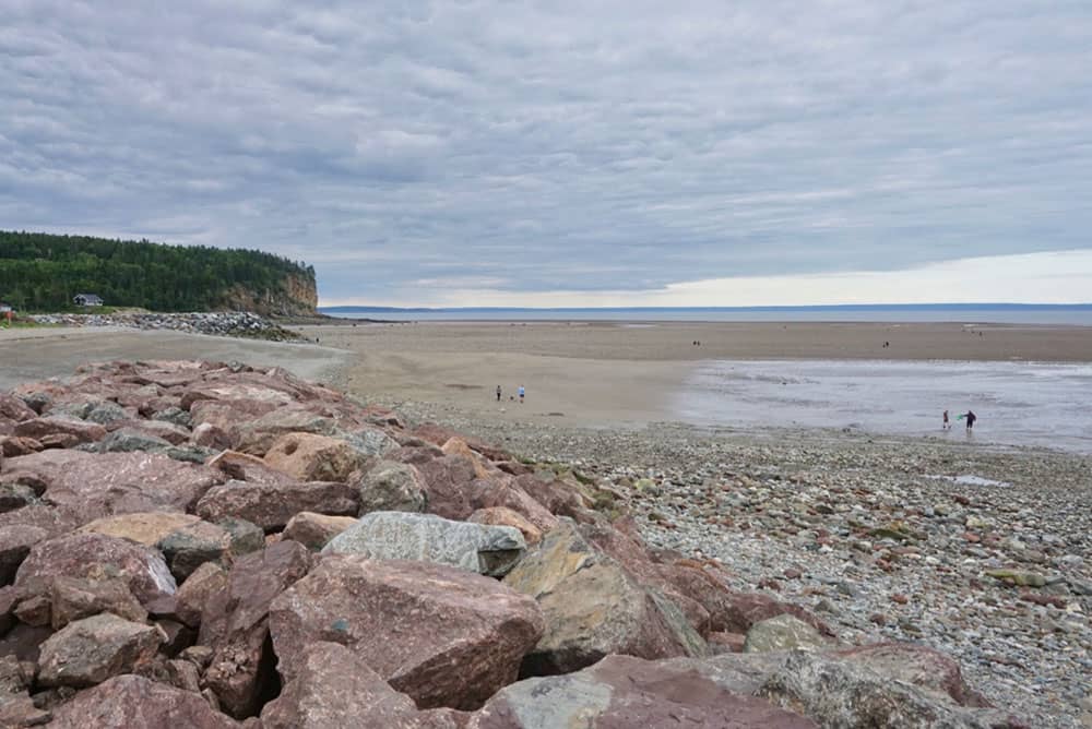 explore the ocean floor during low tide at the Bay of Fundy 