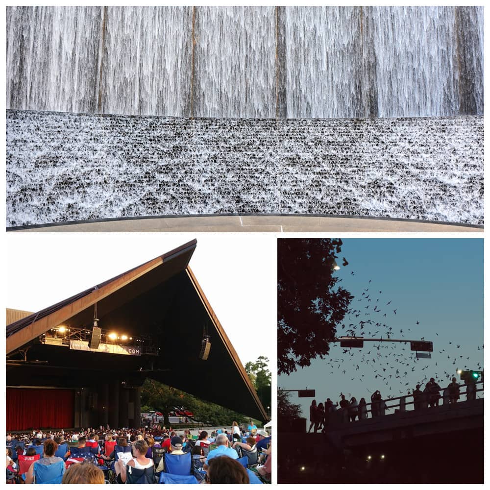 The best free things to do with kids in Houston, including Water Wall, Miller Outdoor Theatre, and Waugh Bridge Bat Colony.