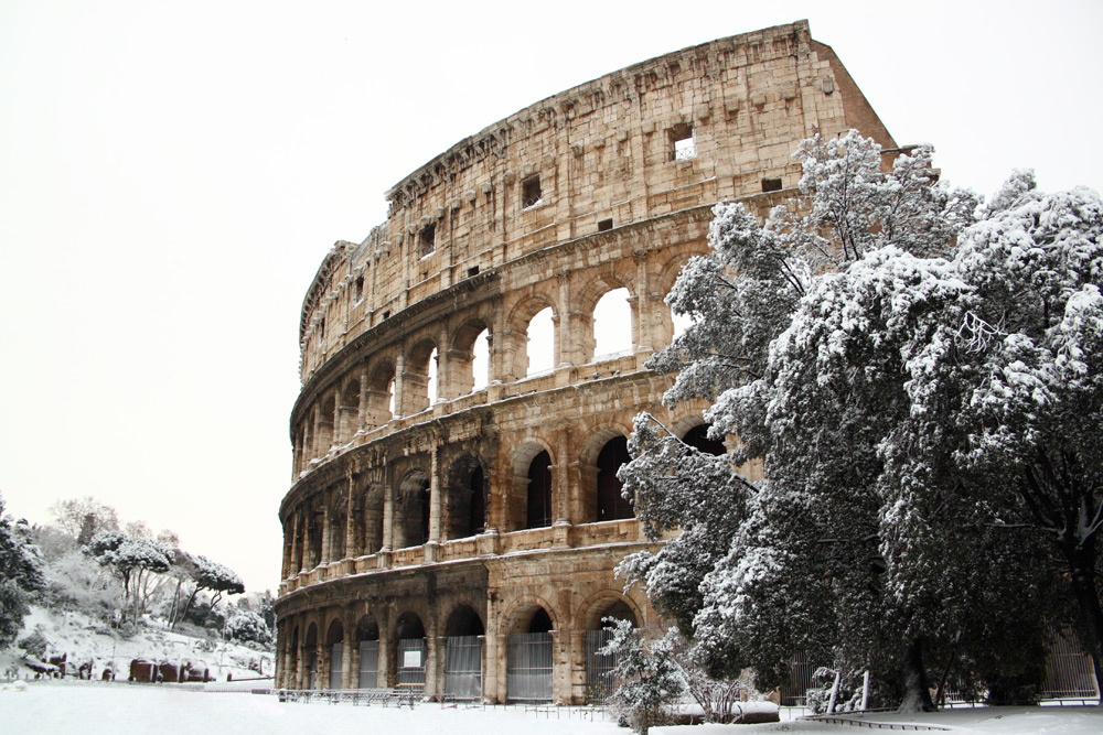 A tree covered in snow outside of the Coliseum, visiting here in the winter is a great Rome travel tip.