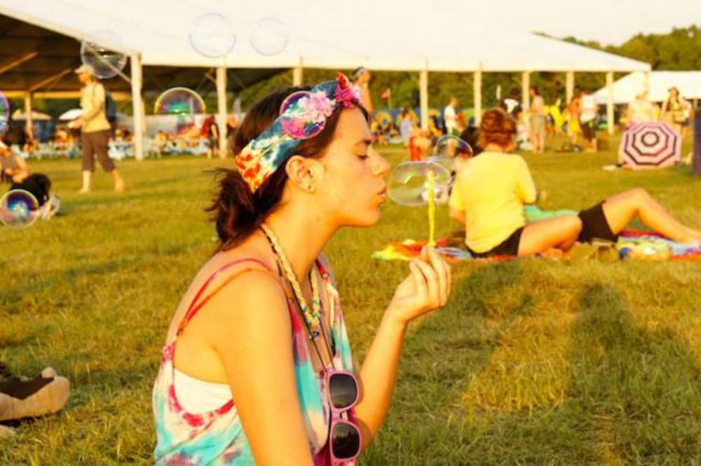 bonaroo music festival