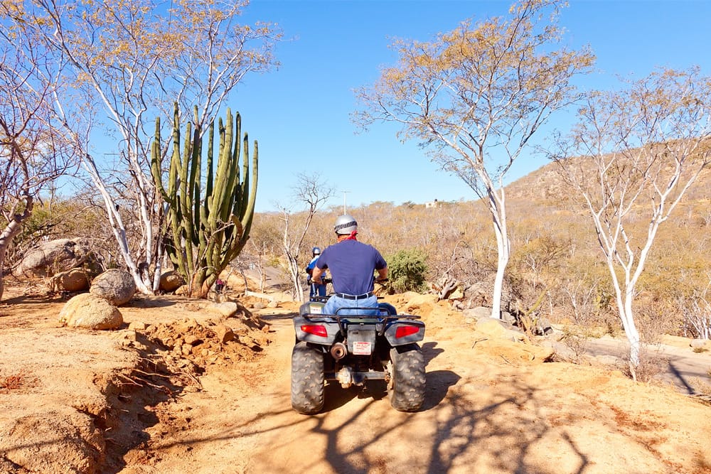 Men driving all-terrain vehicles on a dirt road past cacti in the desert for a Cabo bachelor party