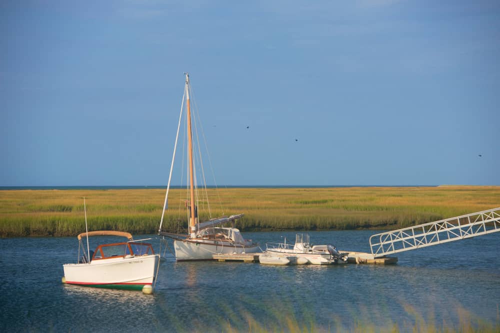 cape cod