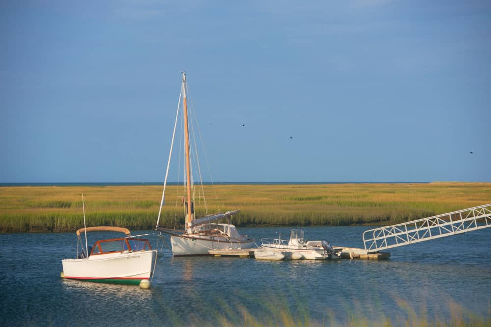 cape cod 