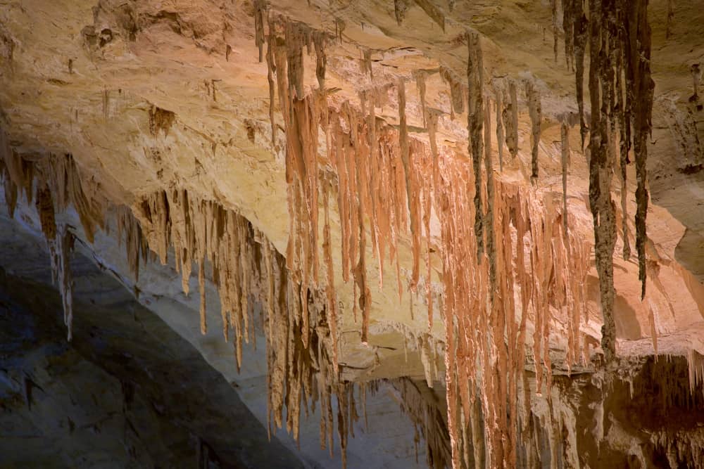 carlsbad caverns national park