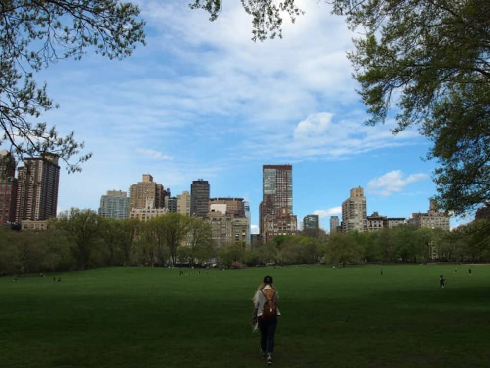 central park landscape