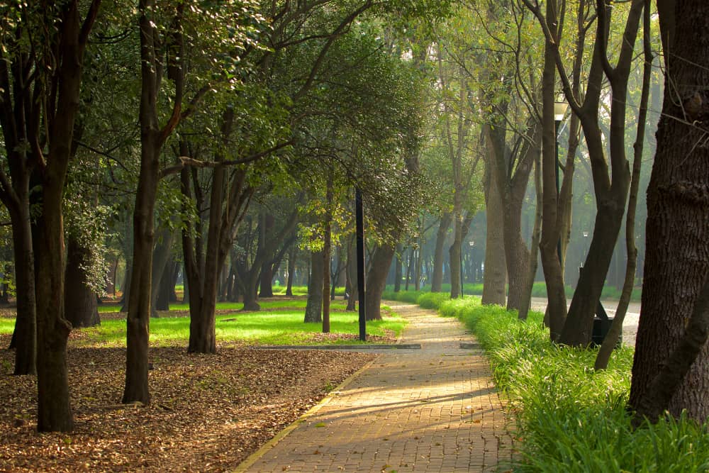 chapultepec park mexico city