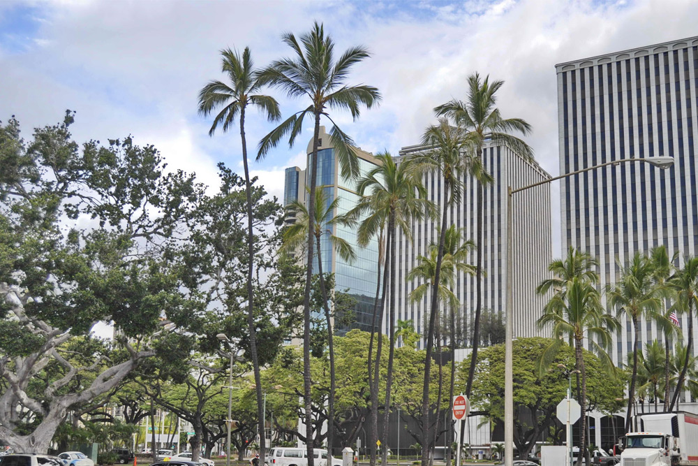 Downtown Honolulu, where you can find cheap eats locals love