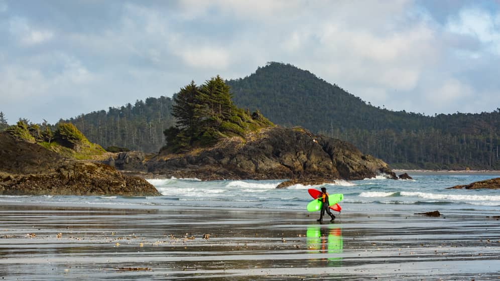 chesterman beach surfing and marine watching