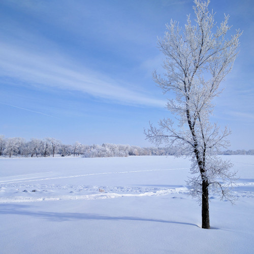 cross country skiing